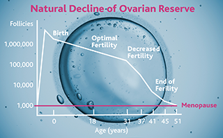 Naturlig minskning av äggstocksreserv